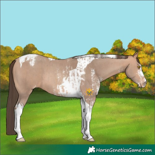 Horse Color:Amber Champagne Sabino Tobiano Varnish and Amber Champagne Sabino Tobiano Varnish