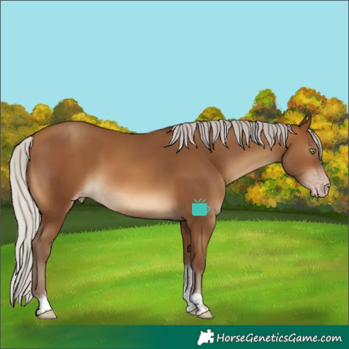 Horse Color:Gray Silver Amber Champagne Tobiano
