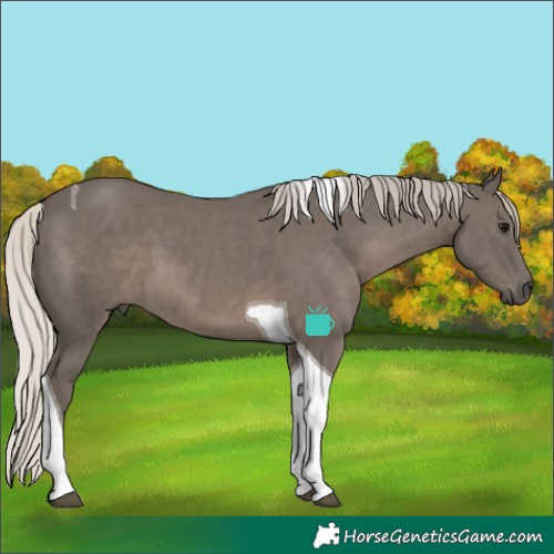 Horse Color:Silver Black Tobiano