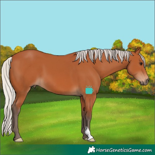 Horse Color:Silver Bay