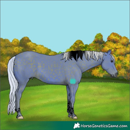 Horse Color:Void Watercolor Silver Brown Tobiano 
