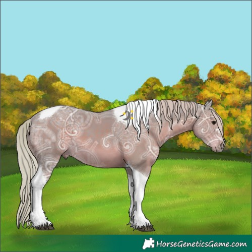 Horse Color:Watercolor Silver Black Ice Tobiano