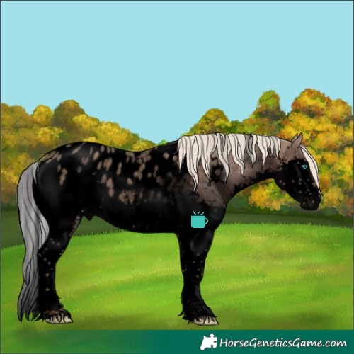 Horse Color:Void Watercolor White Spotted Silver Grullo Roan Splash Blanket