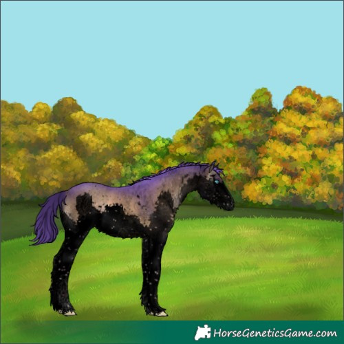 Horse Color:Void Watercolor White Spotted Liver Red Onyx Sabino Splash 