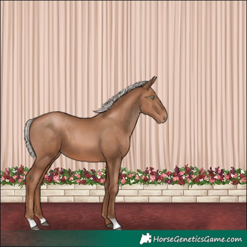 Horse Color:Silver Black Pearl
