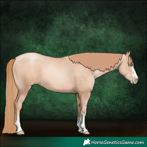 Horse Color:Gold Champagne Pearl Rabicano  and Gold Champagne Pearl Rabicano 