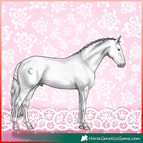 Horse Color:Palomino Chinchilla Dun