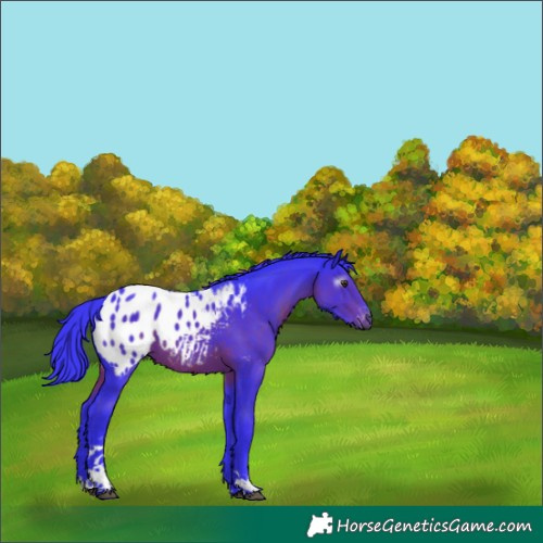 Horse Color:Gray Watercolor Liver Chestnut Tobiano Varnish 