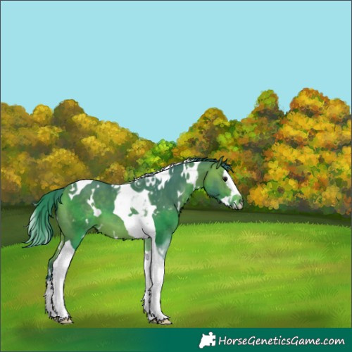 Horse Color:Watercolor White Spotted Bay Splash Tobiano 