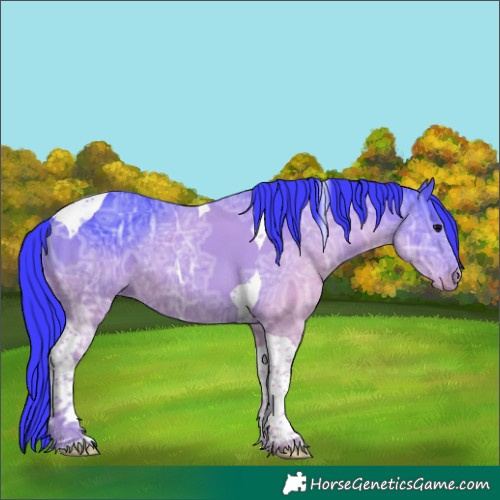 Horse Color:Watercolor Black Ice Tobiano 