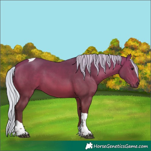 Horse Color:Silver Bay Tobiano 