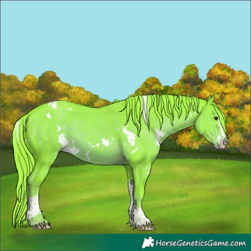 Horse Color:Watercolor White Spotted Liver Chestnut Splash Tobiano