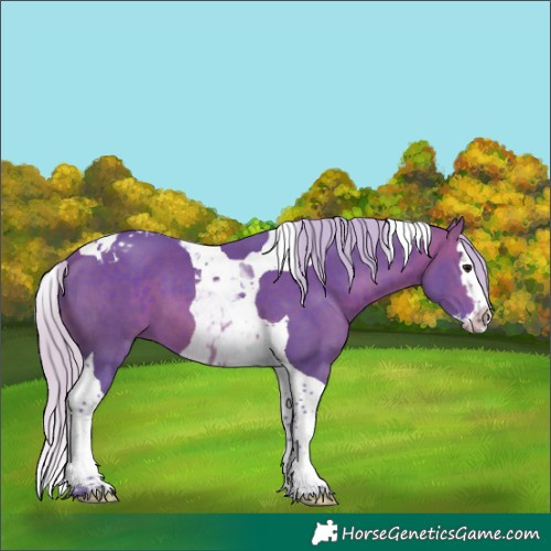 Horse Color:Watercolor Silver Brown Splash Tobiano 