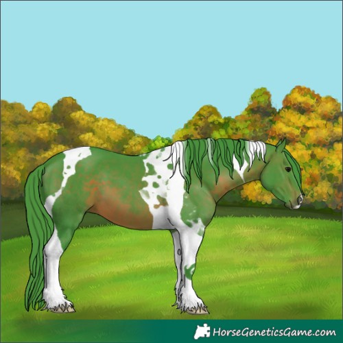 Horse Color:Watercolor Brown Tobiano 