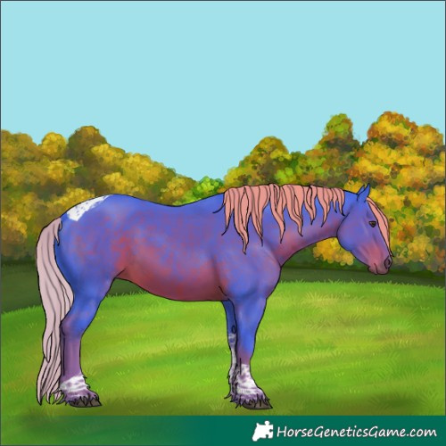 Horse Color:Watercolor Liver Chestnut Tobiano