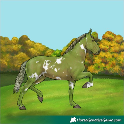 Horse Color:Watercolor White Spotted Liver Chestnut