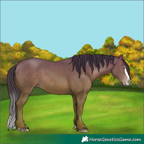 Horse Color:Sable Champagne Splash