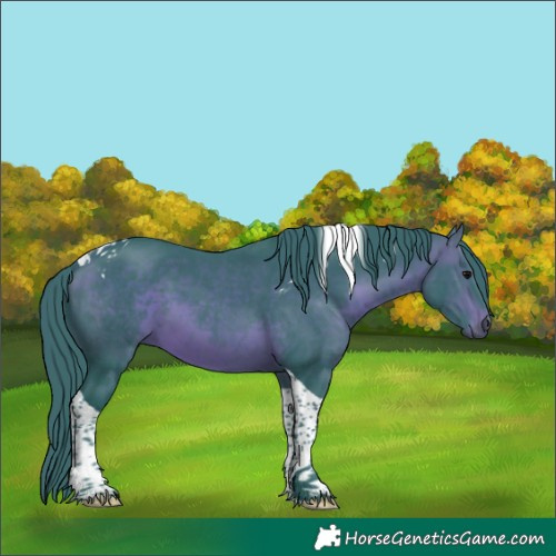 Horse Color:Watercolor Brown Tobiano 
