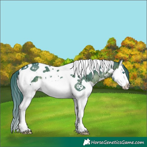 Horse Color:Watercolor Brown Splash Tobiano 