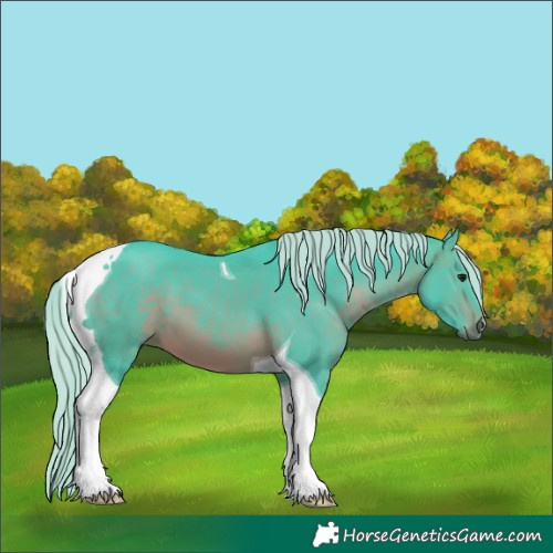 Horse Color:Watercolor Silver Brown Tobiano