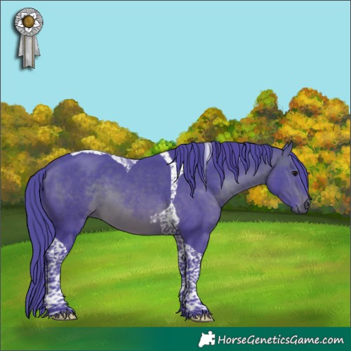 Horse Color:Watercolor Brown Tobiano