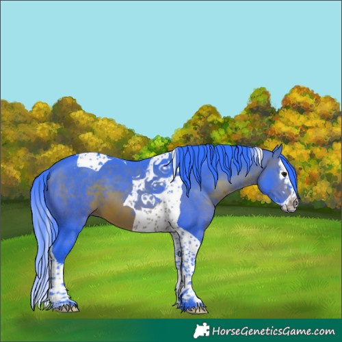 Horse Color:Watercolor Brown Splash Tobiano