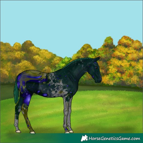 Horse Color:ERROR: UNKNOWN ANOMALY