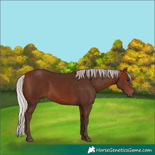 Horse Color:Silver Bay