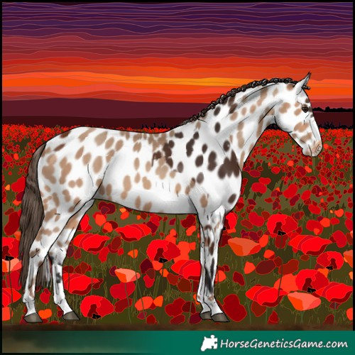 Horse Color:Bay Leopard and Amber Champagne Leopard