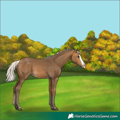 Horse Color:Silver Buckskin Splash Varnish 