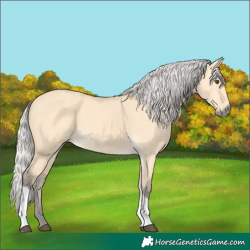 Horse Color:Silver Buckskin Dun Tobiano 