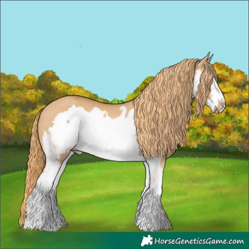 Horse Color:White Spotted Red Dun Frame Rabicano