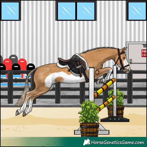 Horse Color:Palomino Frame 