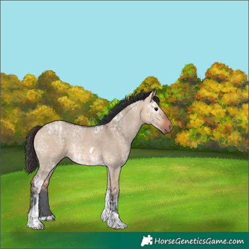 Horse Color:Bay Ice Dun Tobiano Rabicano