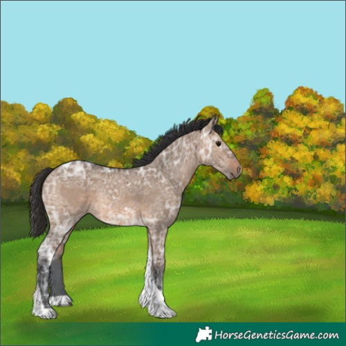 Horse Color:Brown Ice Dun Tobiano Rabicano