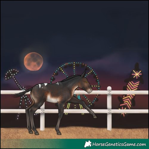 Horse Color:Brown Skewed LP Spotted