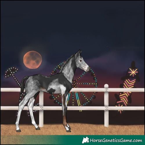 Horse Color:Gray Liver Chestnut  and Gray White Spotted Liver Chestnut 