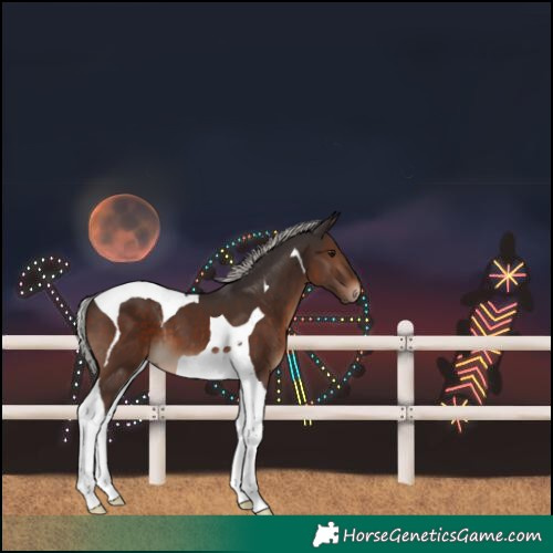 Horse Color:Silver Brown Tobiano 