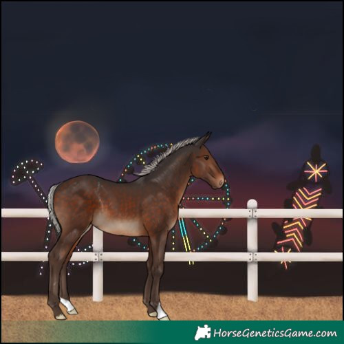 Horse Color:Silver Brown 