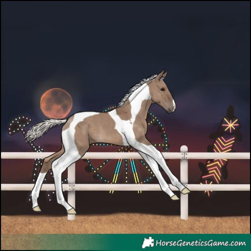 Horse Color:Silver Grullo Tobiano