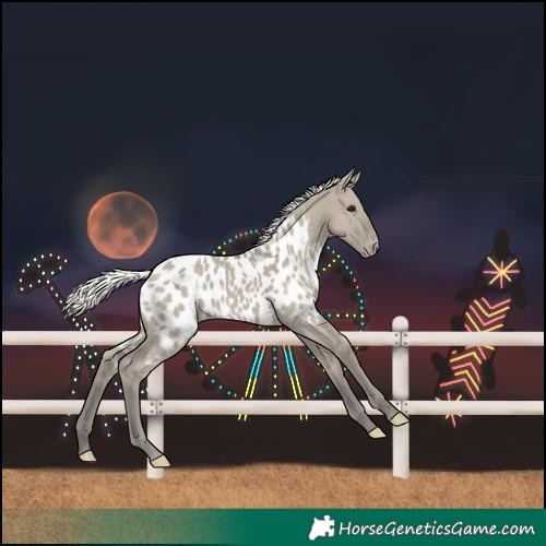 Horse Color:Silver Smoky Grullo Blanket 