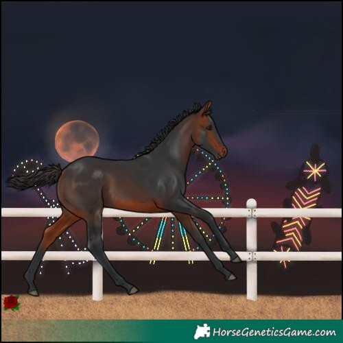 Horse Color:Bay Rabicano 