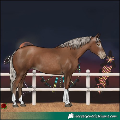 Horse Color:Gray Silver Black Pearl Tobiano