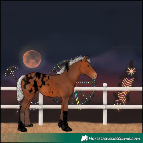 Horse Color:Void Silver Bay Tobiano Blanket 