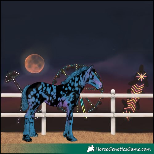 Horse Color:Void Watercolor White Spotted Bay Near Leopard 