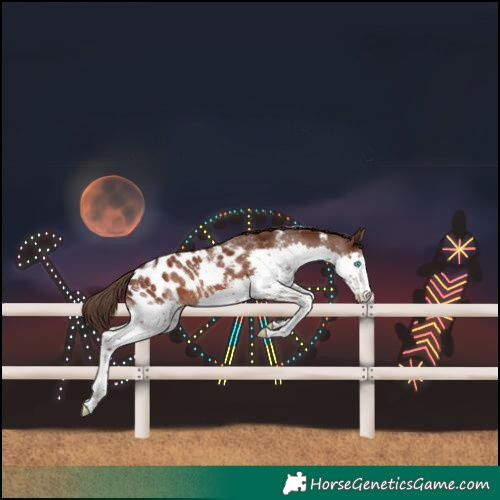 Horse Color:Powder White Liver Chestnut Splash Blanket 