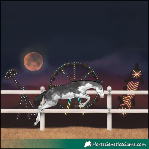 Horse Color:Powder White Black Splash 