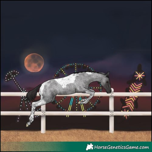 Horse Color:Smoky Blue Roan Tobiano 