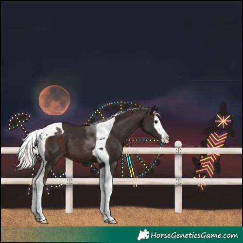 Horse Color:Silver Brown Splash Tobiano 