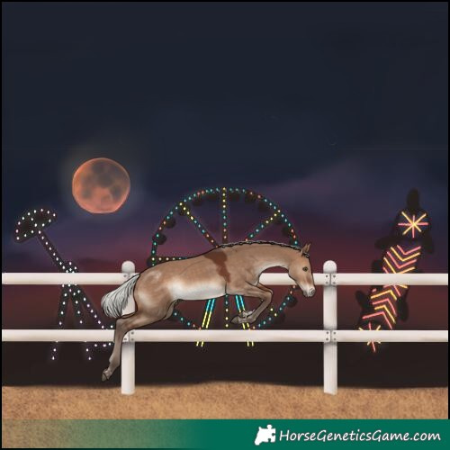 Horse Color:Silver Brown Dun Tobiano 